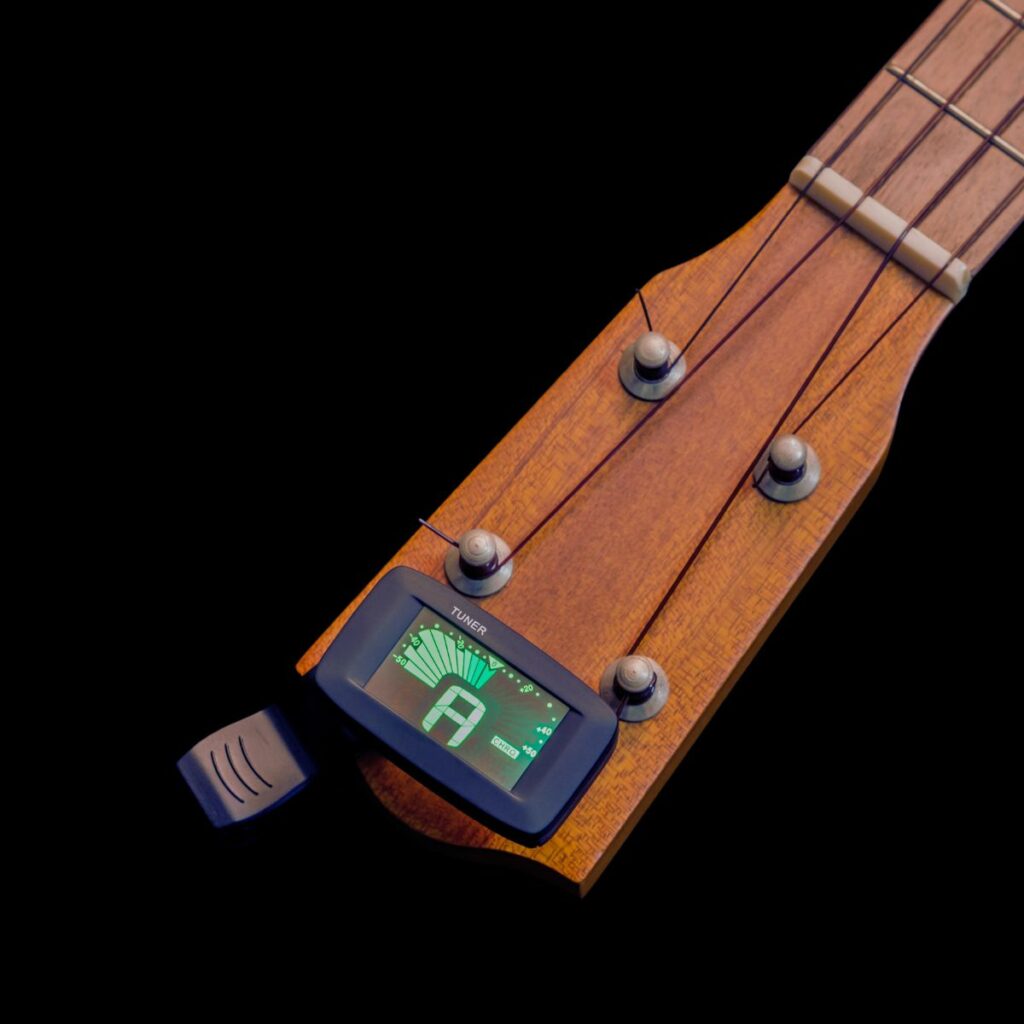 Afinador D’Addario NS Micro